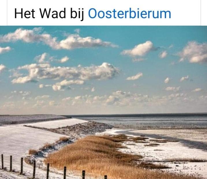 4-Persoons Vakantiehuisje Simmerwille Tzummarum Esterno foto